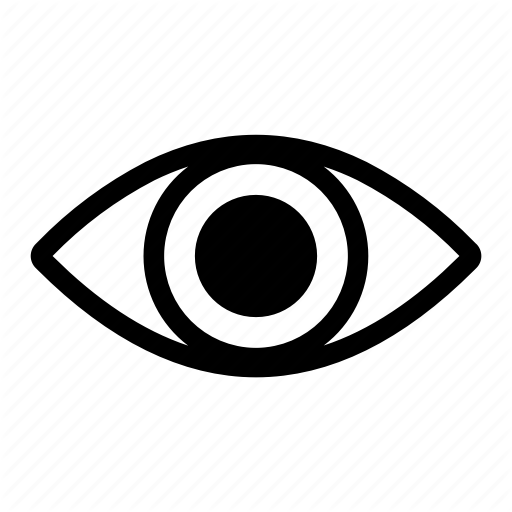 Vision